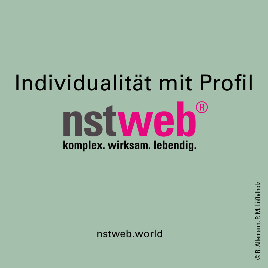 Logo und Claim zu NSTWeb® – Individualität mit Profil